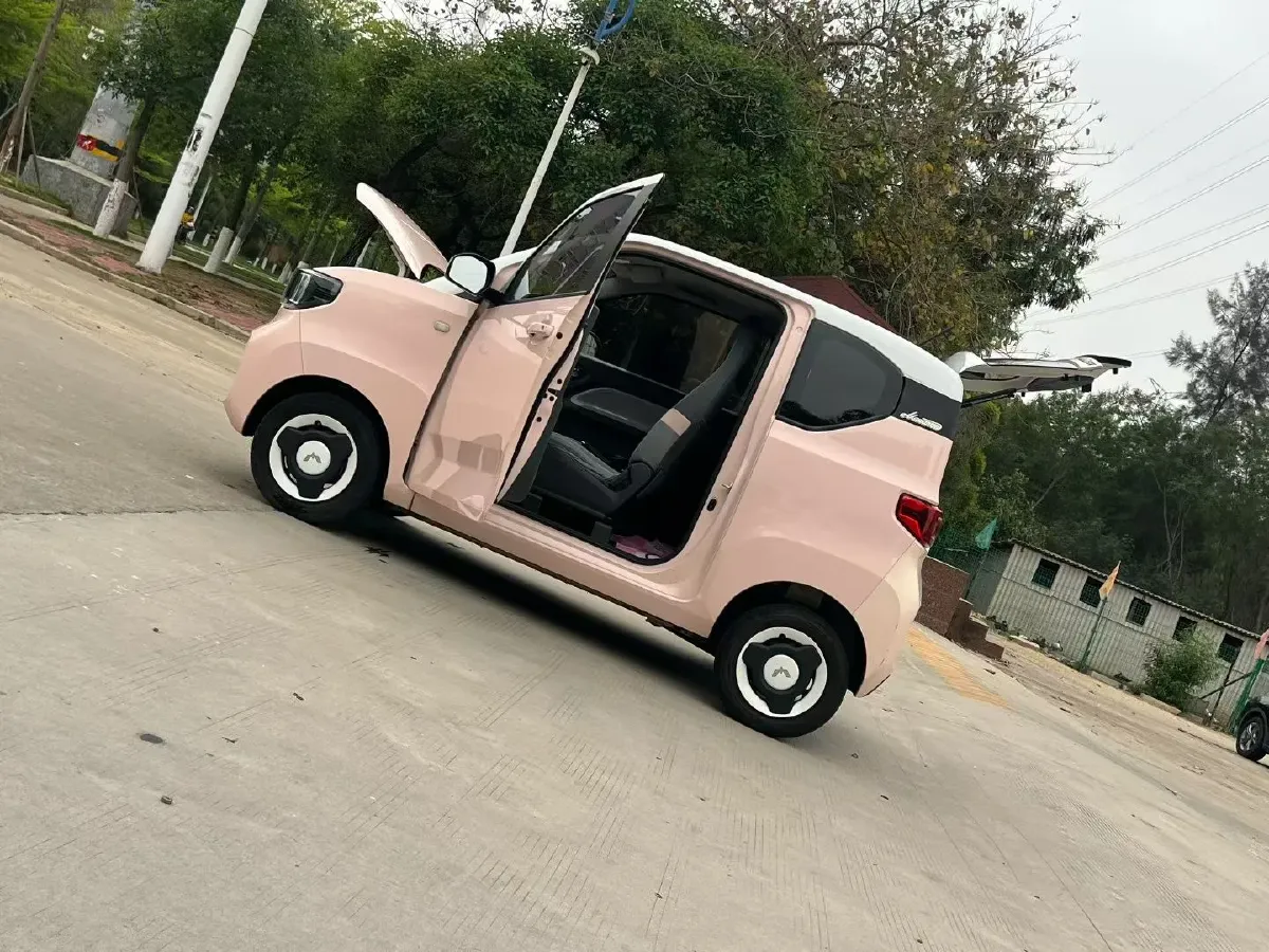 2021 WuLing HongGuang MINI EV BEV 13.8KWH,autocango,china used car exporter,china ev exporter,chinese used car exporter,chinese used ev exporter