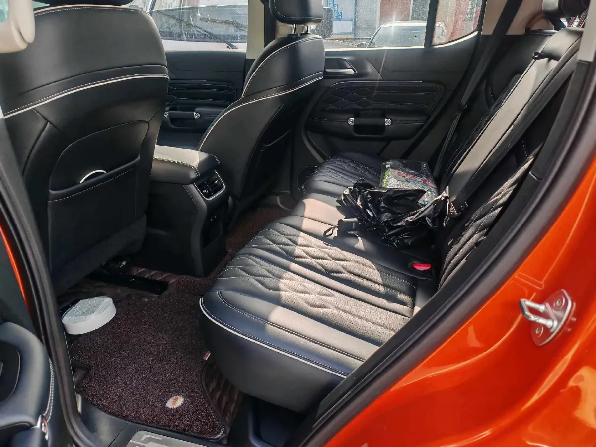 2021 Tank 300 2.0T 227HP L4 8AT,autocango,china used car exporter,china ev exporter,chinese used car exporter,chinese used ev exporter