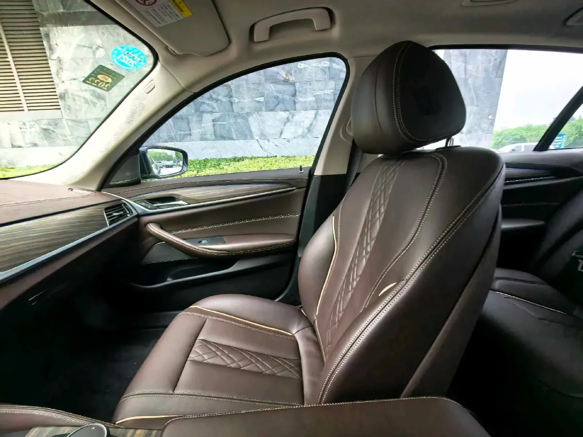 2020 BMW 5 Series 2.0T 252HP L4 8AT,autocango,china used car exporter,china ev exporter,chinese used car exporter,chinese used ev exporter