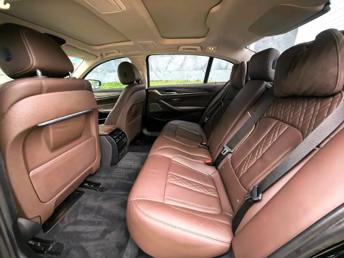 2020 BMW 5 Series 2.0T 252HP L4 8AT,autocango,china used car exporter,china ev exporter,chinese used car exporter,chinese used ev exporter