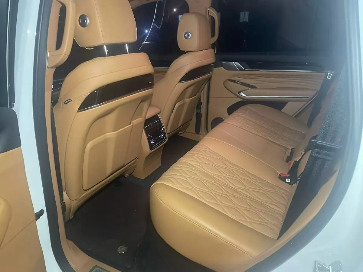 2023 Tank 500 2.0T 252HP L4 9AT PHEV 37.1KWH,autocango,china used car exporter,china ev exporter,chinese used car exporter,chinese used ev exporter