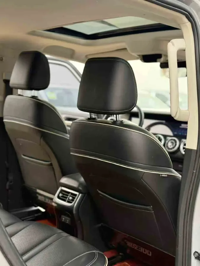 2021 Tank 300 2.0T 227HP L4 8AT,autocango,china used car exporter,china ev exporter,chinese used car exporter,chinese used ev exporter