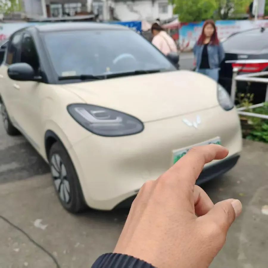 2024 WuLing BinGuo BEV 31.9KWH,autocango,china used car exporter,china ev exporter,chinese used car exporter,chinese used ev exporter