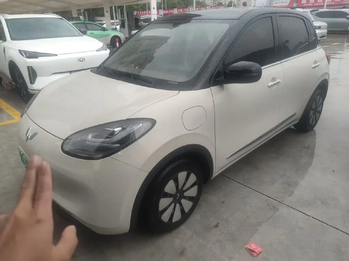 2024 WuLing BinGuo BEV 31.9KWH,autocango,china used car exporter,china ev exporter,chinese used car exporter,chinese used ev exporter