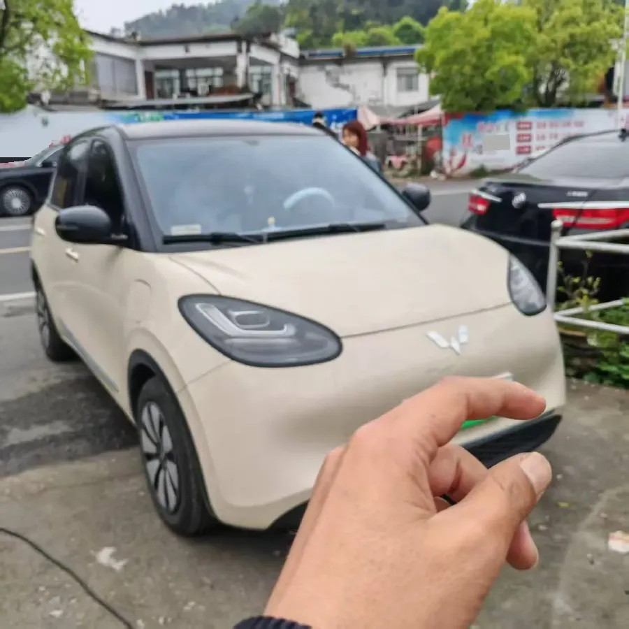 2024 WuLing BinGuo BEV 31.9KWH,autocango,china used car exporter,china ev exporter,chinese used car exporter,chinese used ev exporter