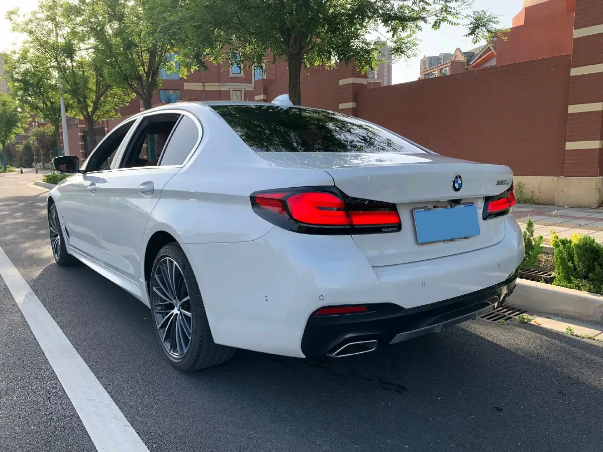 2023 BMW 5 Series 2.0T 245HP L4 8AT,autocango,china used car exporter,china ev exporter,chinese used car exporter,chinese used ev exporter