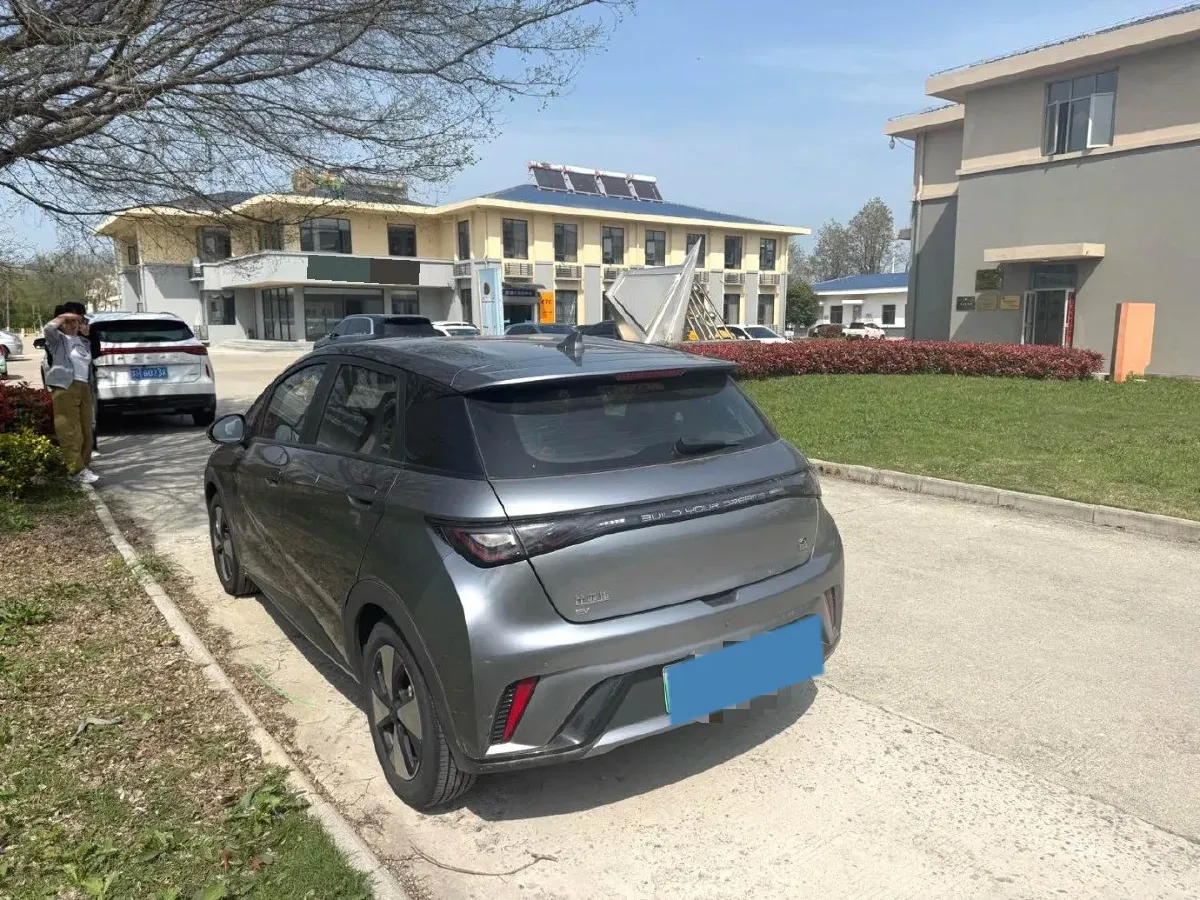 2023 BYD Dolphin BEV 44.928KWH,autocango,china used car exporter,china ev exporter,chinese used car exporter,chinese used ev exporter