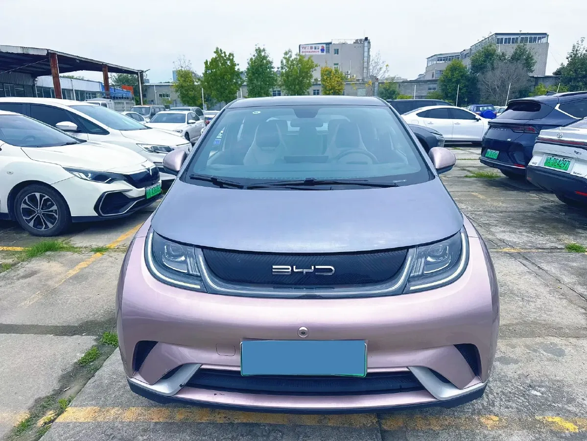 2021 BYD Yuan Pro BEV 50.1KWH,autocango,china used car exporter,china ev exporter,chinese used car exporter,chinese used ev exporter