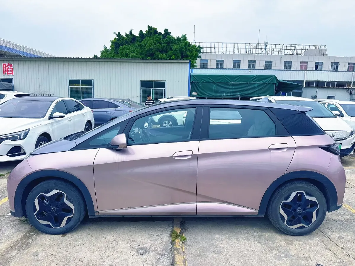 2021 BYD Yuan Pro BEV 50.1KWH,autocango,china used car exporter,china ev exporter,chinese used car exporter,chinese used ev exporter