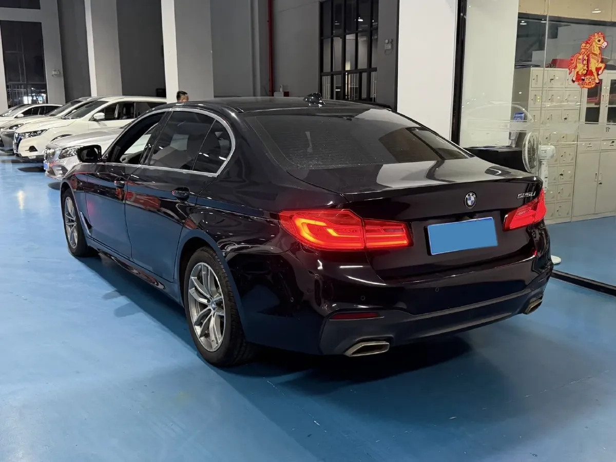 2020 BMW 5 Series 2.0T 184HP L4 8AT,autocango,china used car exporter,china ev exporter,chinese used car exporter,chinese used ev exporter