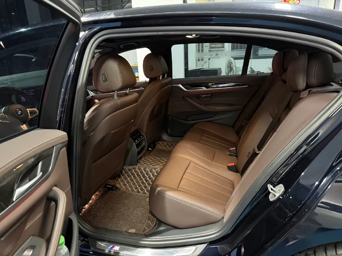 2020 BMW 5 Series 2.0T 184HP L4 8AT,autocango,china used car exporter,china ev exporter,chinese used car exporter,chinese used ev exporter