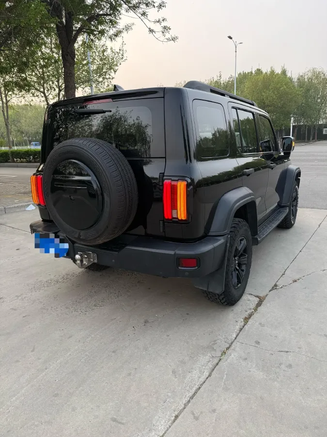 2021 Tank 300 2.0T 227HP L4 8AT,autocango,china used car exporter,china ev exporter,chinese used car exporter,chinese used ev exporter
