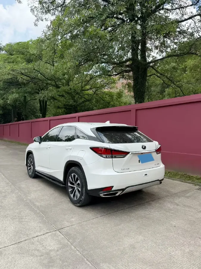 2020 Lexus RX 2.0T 238HP L4 6AT,autocango,china used car exporter,china ev exporter,chinese used car exporter,chinese used ev exporter