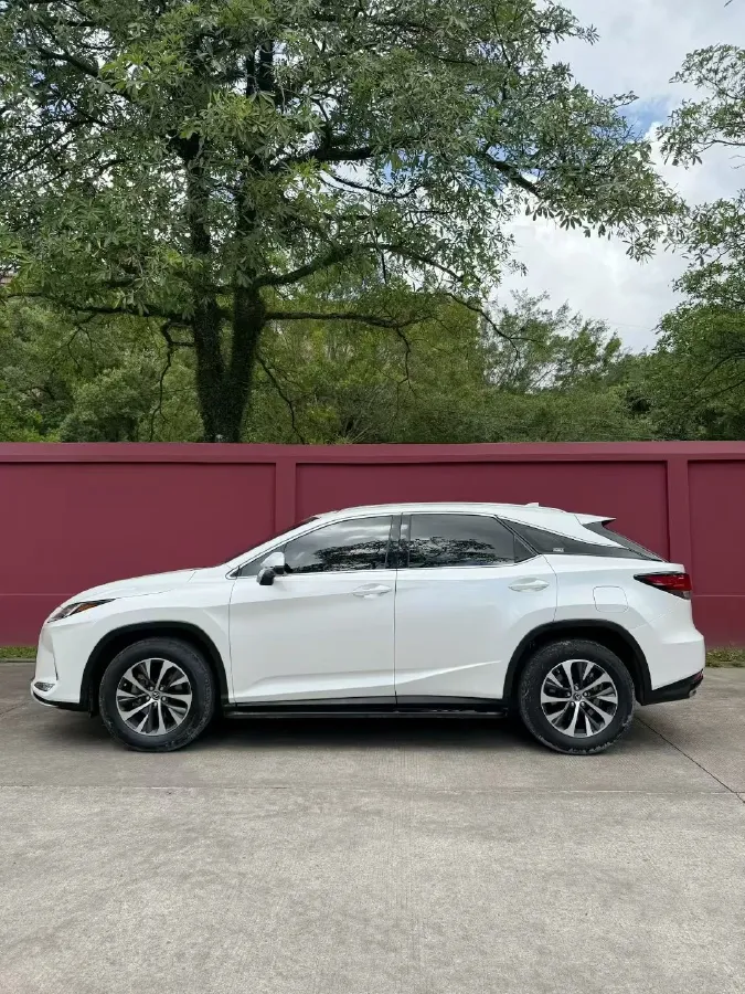 2020 Lexus RX 2.0T 238HP L4 6AT,autocango,china used car exporter,china ev exporter,chinese used car exporter,chinese used ev exporter