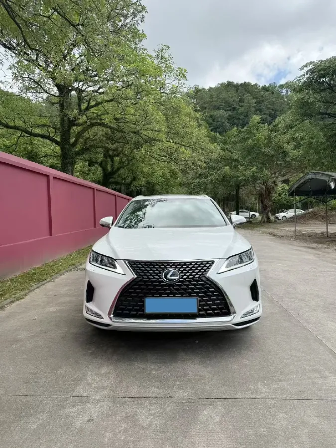 2020 Lexus RX 2.0T 238HP L4 6AT,autocango,china used car exporter,china ev exporter,chinese used car exporter,chinese used ev exporter