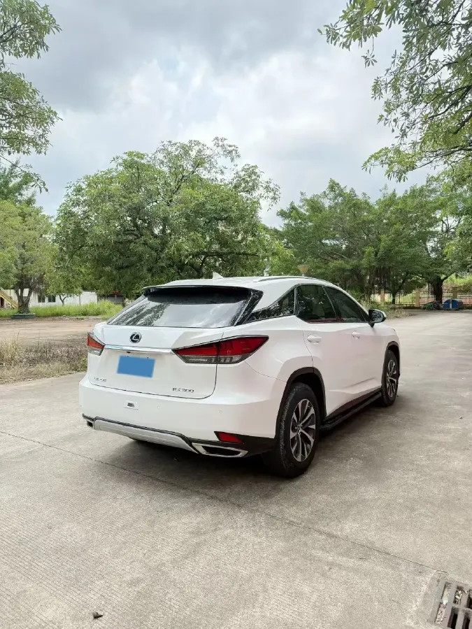2020 Lexus RX 2.0T 238HP L4 6AT,autocango,china used car exporter,china ev exporter,chinese used car exporter,chinese used ev exporter