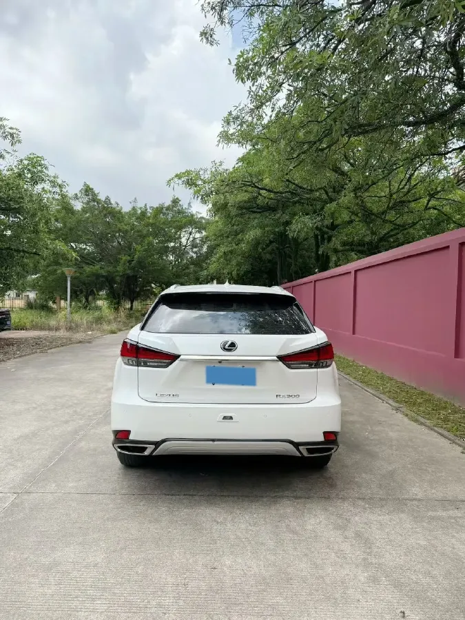 2020 Lexus RX 2.0T 238HP L4 6AT,autocango,china used car exporter,china ev exporter,chinese used car exporter,chinese used ev exporter
