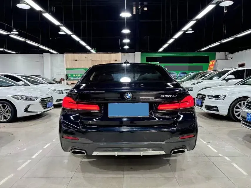 2021 BMW 5 Series 2.0T 252HP L4 8AT,autocango,china used car exporter,china ev exporter,chinese used car exporter,chinese used ev exporter
