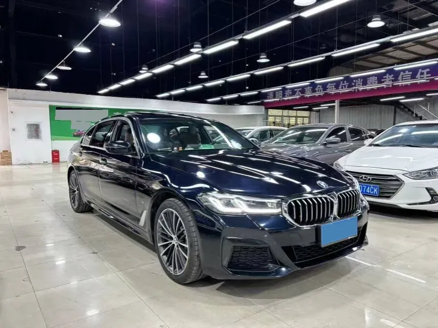 2021 BMW 5 Series 2.0T 252HP L4 8AT,autocango,china used car exporter,china ev exporter,chinese used car exporter,chinese used ev exporter