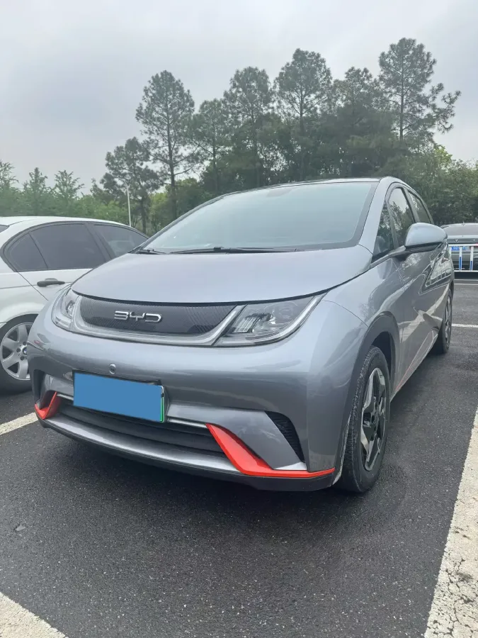2021 BYD Dolphin BEV 44.9KWH,autocango,china used car exporter,china ev exporter,chinese used car exporter,chinese used ev exporter