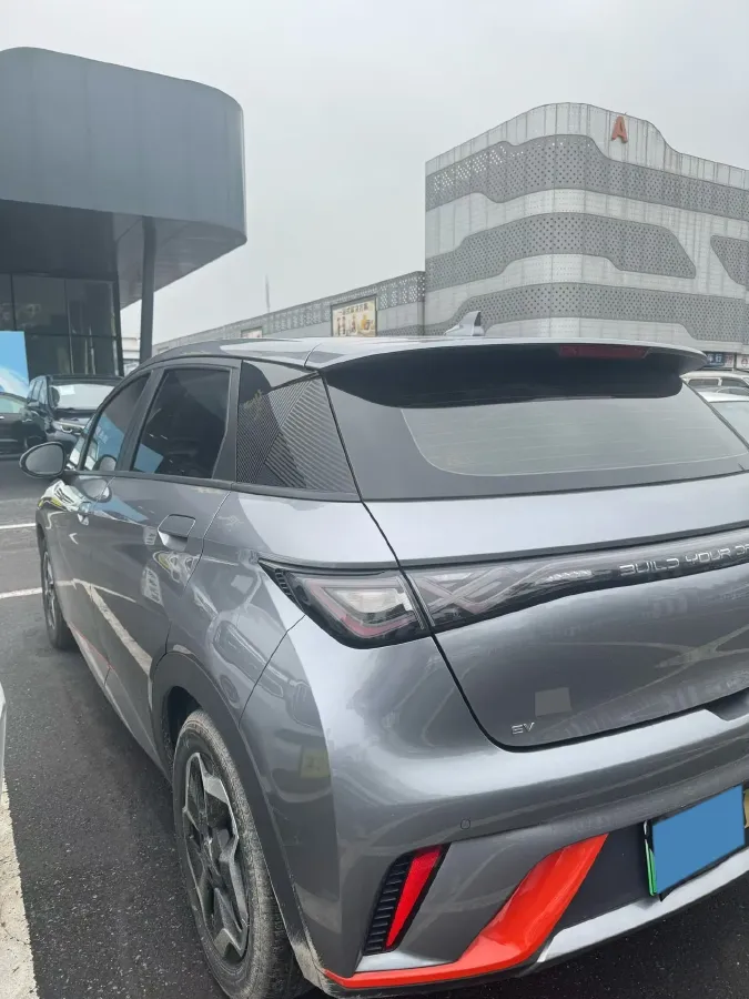 2021 BYD Dolphin BEV 44.9KWH,autocango,china used car exporter,china ev exporter,chinese used car exporter,chinese used ev exporter