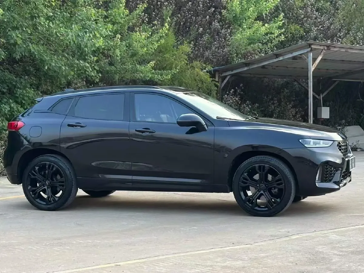 2017 WEY VV7 2.0T 234HP L4 7DCT,autocango,china used car exporter,china ev exporter,chinese used car exporter,chinese used ev exporter