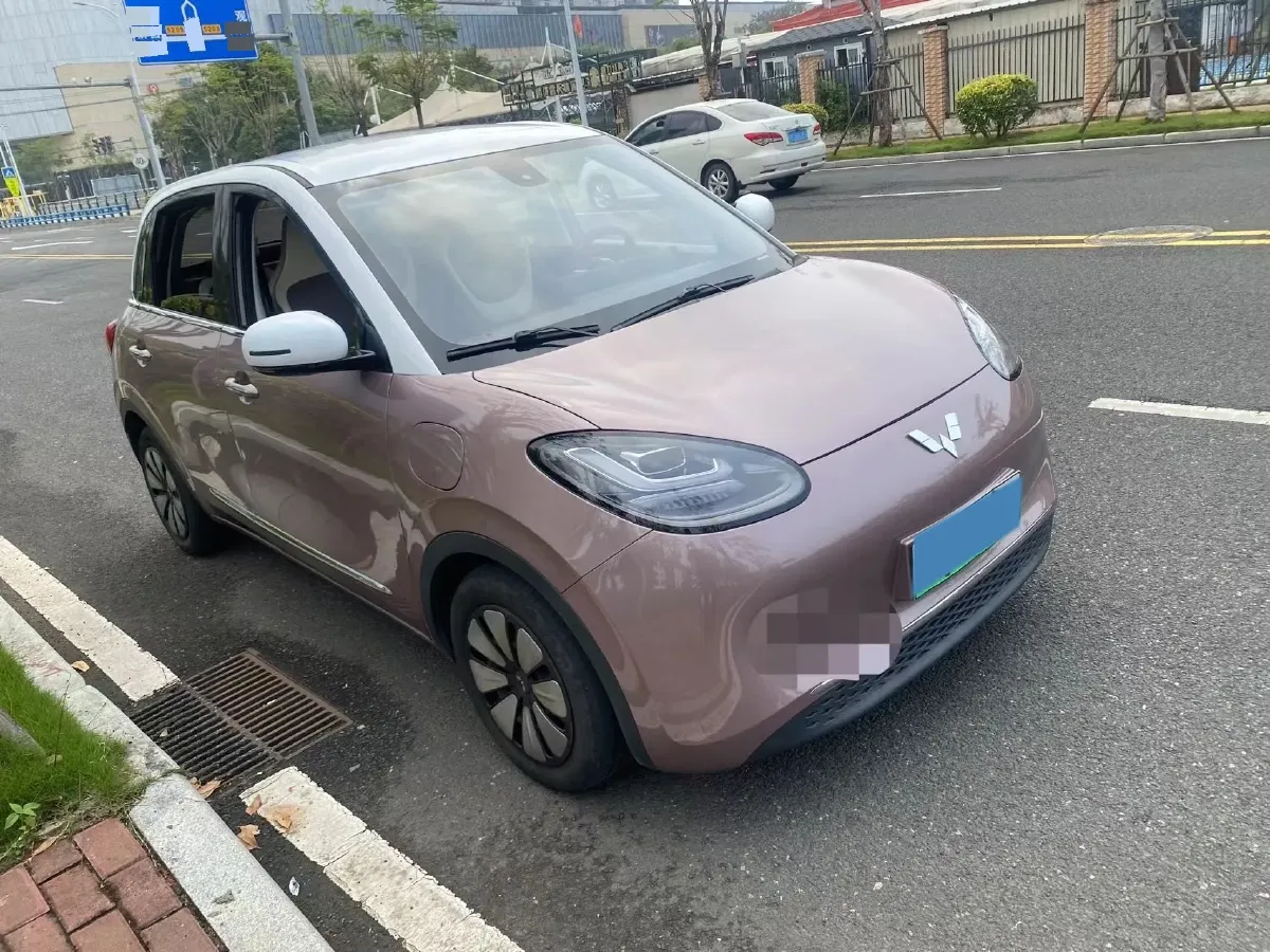2023 WuLing BinGuo BEV 31.9KWH,autocango,china used car exporter,china ev exporter,chinese used car exporter,chinese used ev exporter
