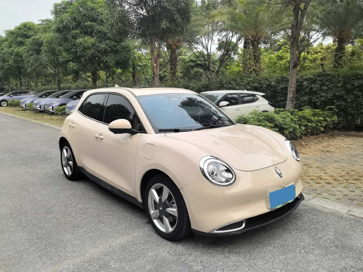 2023 Ora FunkyCat BEV 47.8KWH,autocango,china used car exporter,china ev exporter,chinese used car exporter,chinese used ev exporter