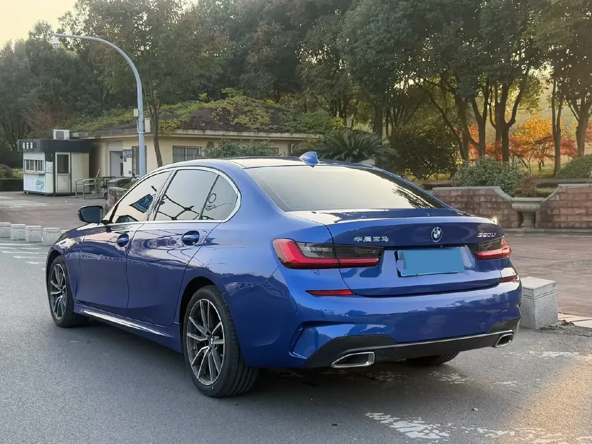 2020 BMW 3 Series 2.0T 156HP L4 8AT,autocango,china used car exporter,china ev exporter,chinese used car exporter,chinese used ev exporter