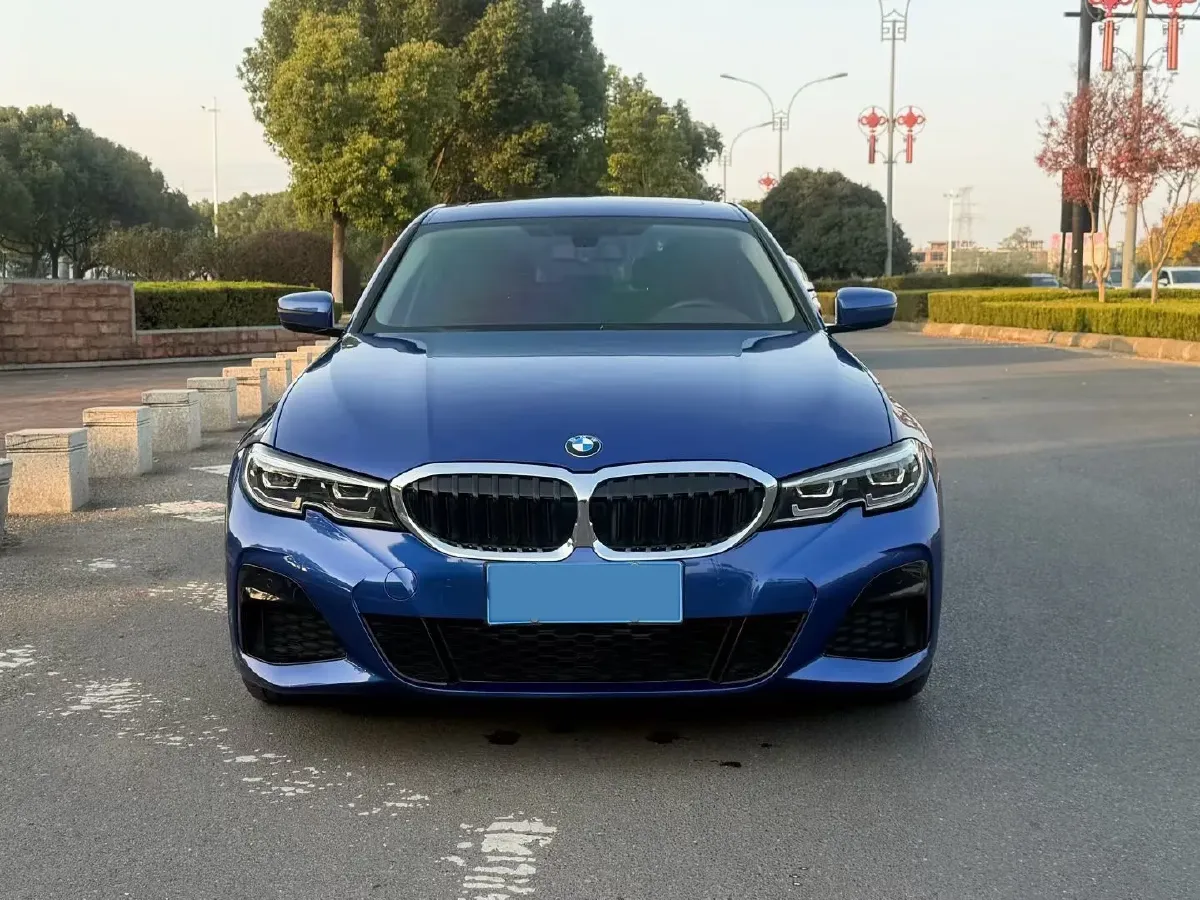 2020 BMW 3 Series 2.0T 156HP L4 8AT,autocango,china used car exporter,china ev exporter,chinese used car exporter,chinese used ev exporter
