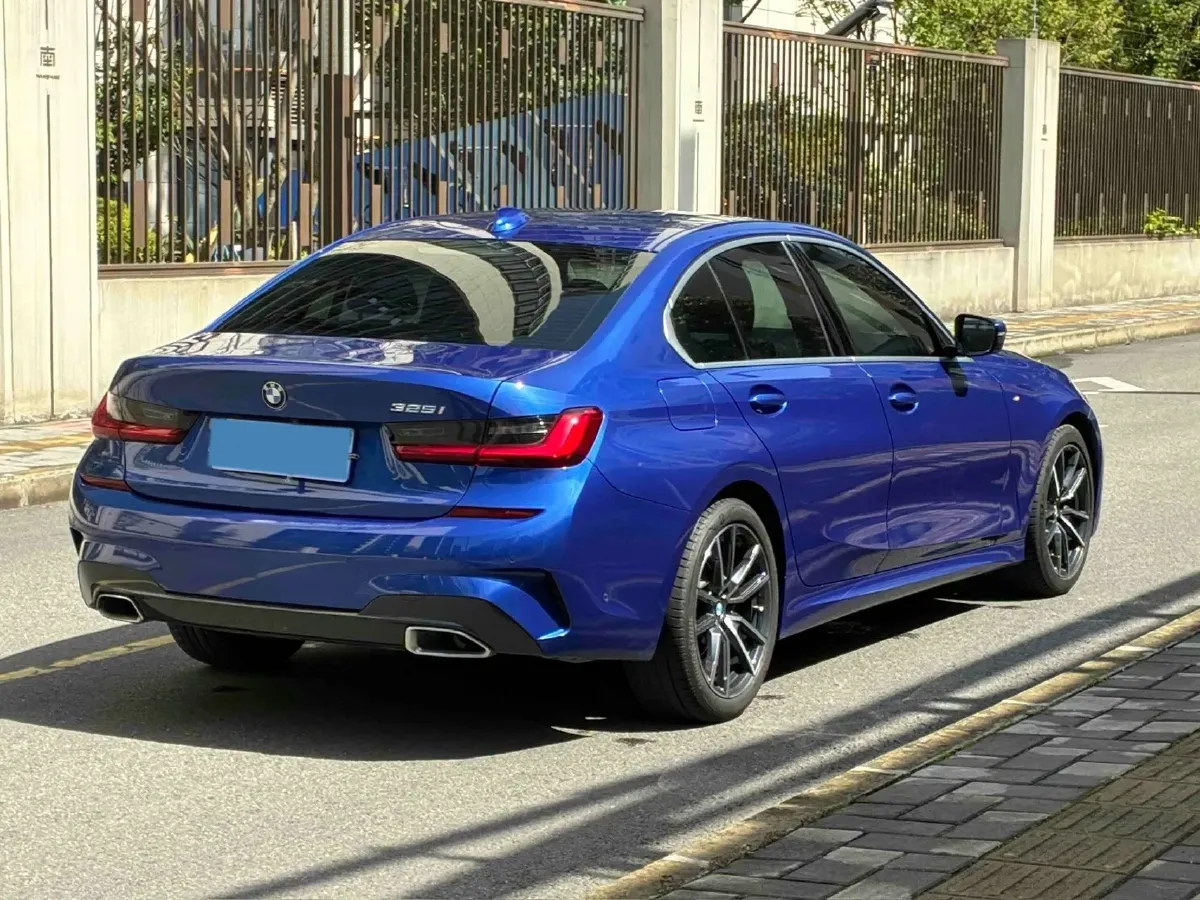 2020 BMW 3 Series 2.0T 184HP L4 8AT,autocango,china used car exporter,china ev exporter,chinese used car exporter,chinese used ev exporter