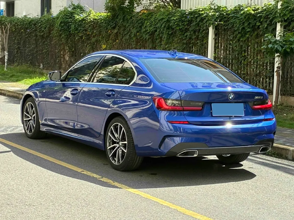 2020 BMW 3 Series 2.0T 184HP L4 8AT,autocango,china used car exporter,china ev exporter,chinese used car exporter,chinese used ev exporter