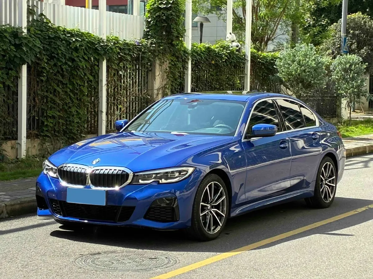 2020 BMW 3 Series 2.0T 184HP L4 8AT,autocango,china used car exporter,china ev exporter,chinese used car exporter,chinese used ev exporter