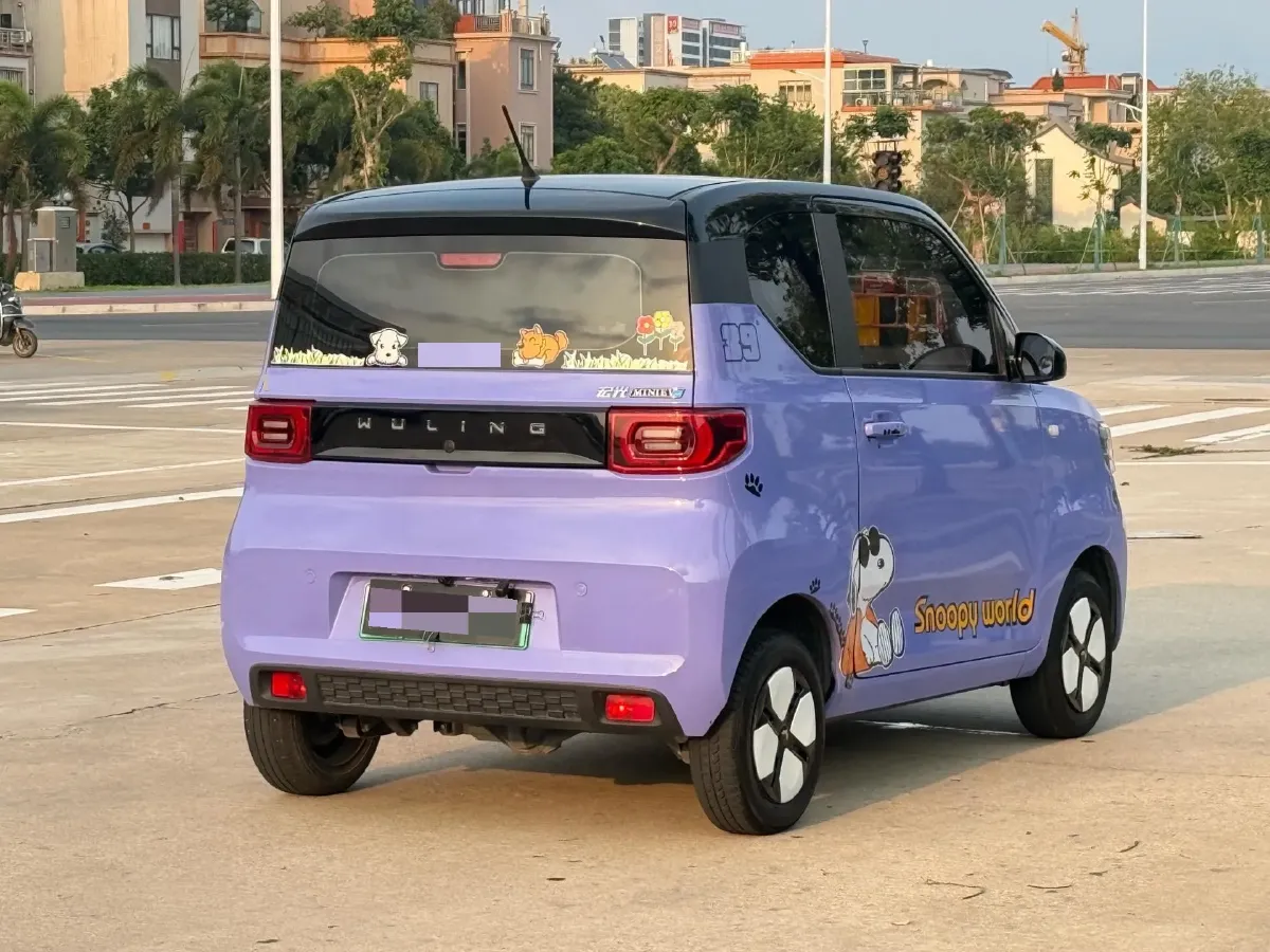 2021 WuLing HongGuang MINI EV BEV 13.8KWH,autocango,china used car exporter,china ev exporter,chinese used car exporter,chinese used ev exporter