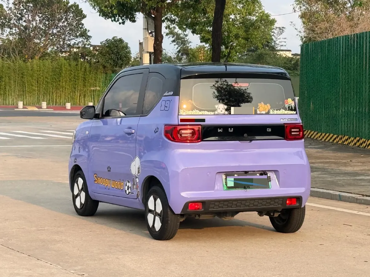 2021 WuLing HongGuang MINI EV BEV 13.8KWH,autocango,china used car exporter,china ev exporter,chinese used car exporter,chinese used ev exporter