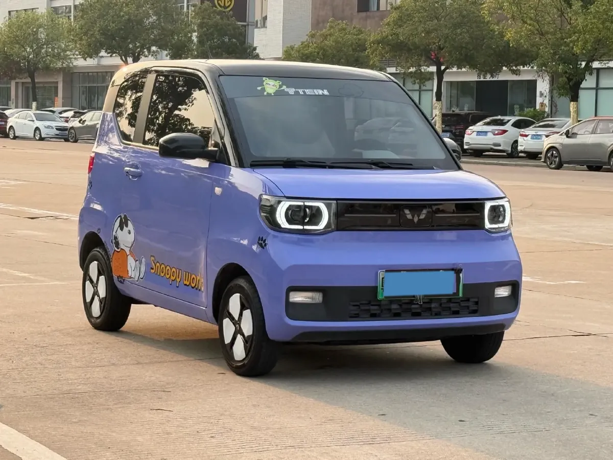 2021 WuLing HongGuang MINI EV BEV 13.8KWH,autocango,china used car exporter,china ev exporter,chinese used car exporter,chinese used ev exporter
