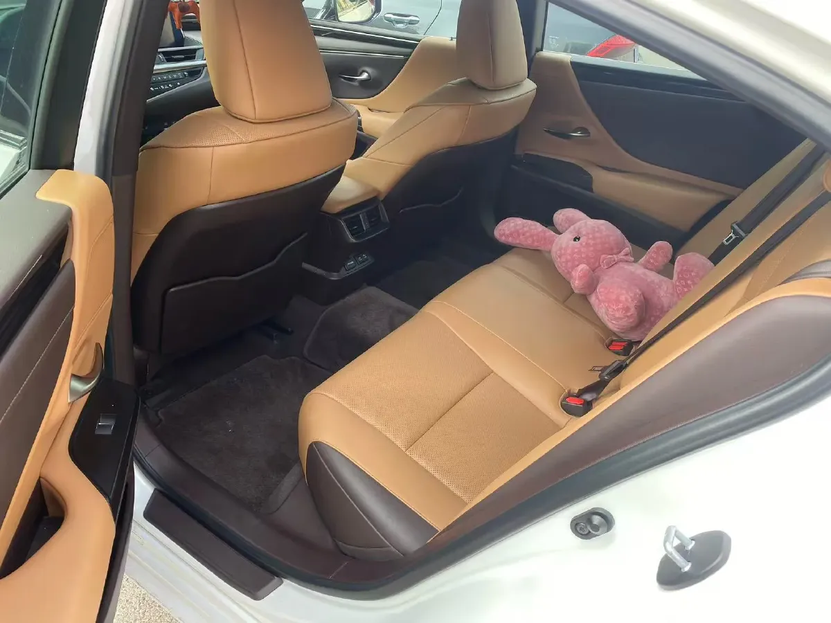 2020 Lexus ES 2.0L 173HP L4 CVT,autocango,china used car exporter,china ev exporter,chinese used car exporter,chinese used ev exporter