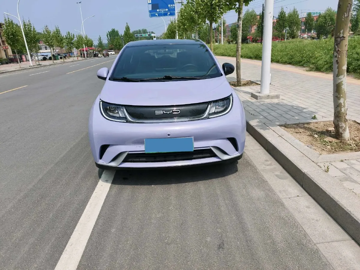 2023 BYD Dolphin BEV 44.928KWH,autocango,china used car exporter,china ev exporter,chinese used car exporter,chinese used ev exporter