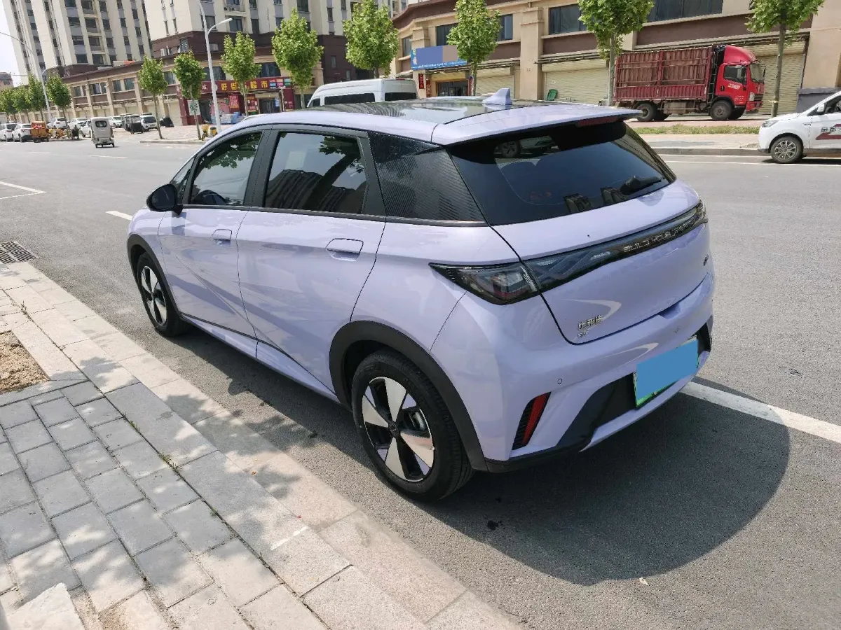 2023 BYD Dolphin BEV 44.928KWH,autocango,china used car exporter,china ev exporter,chinese used car exporter,chinese used ev exporter