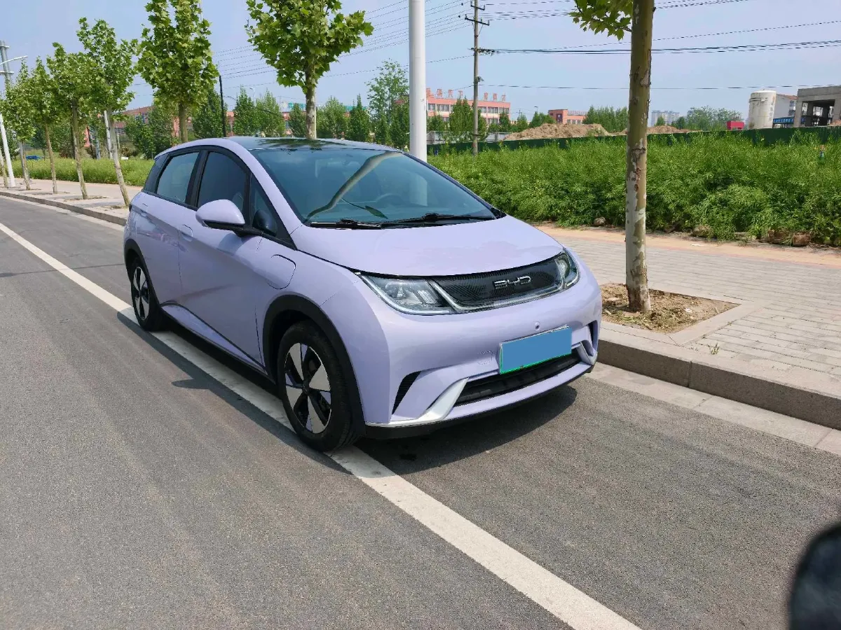 2023 BYD Dolphin BEV 44.928KWH,autocango,china used car exporter,china ev exporter,chinese used car exporter,chinese used ev exporter
