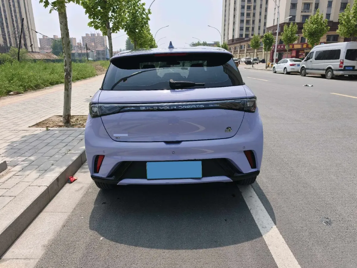 2023 BYD Dolphin BEV 44.928KWH,autocango,china used car exporter,china ev exporter,chinese used car exporter,chinese used ev exporter