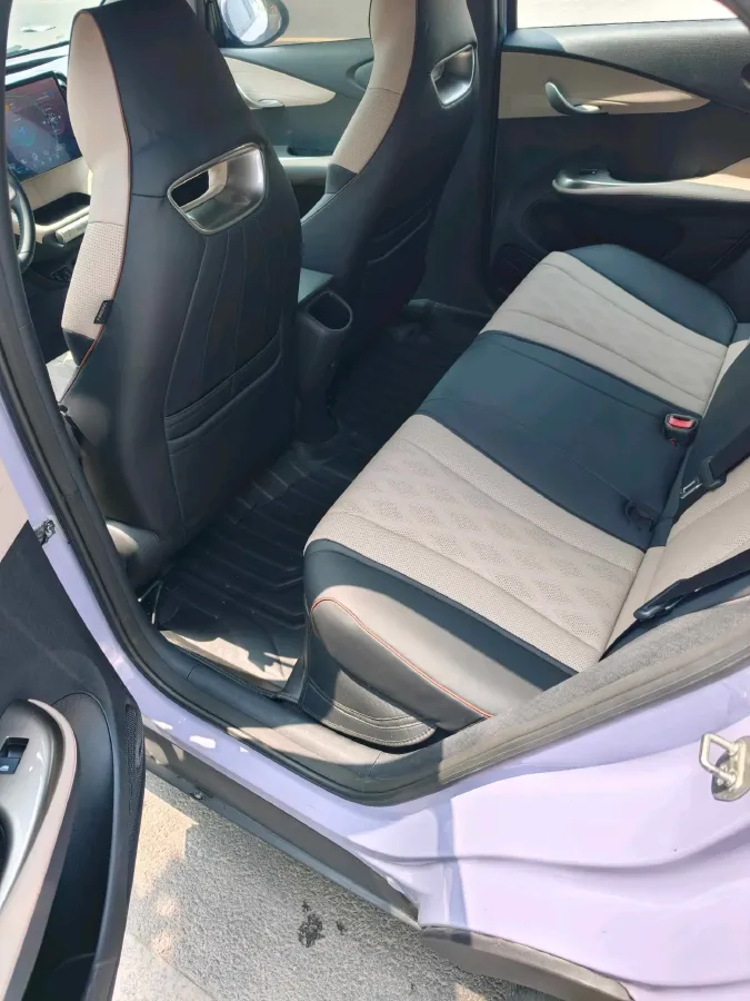 2023 BYD Dolphin BEV 44.928KWH,autocango,china used car exporter,china ev exporter,chinese used car exporter,chinese used ev exporter