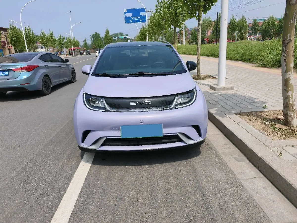 2023 BYD Dolphin BEV 44.928KWH,autocango,china used car exporter,china ev exporter,chinese used car exporter,chinese used ev exporter