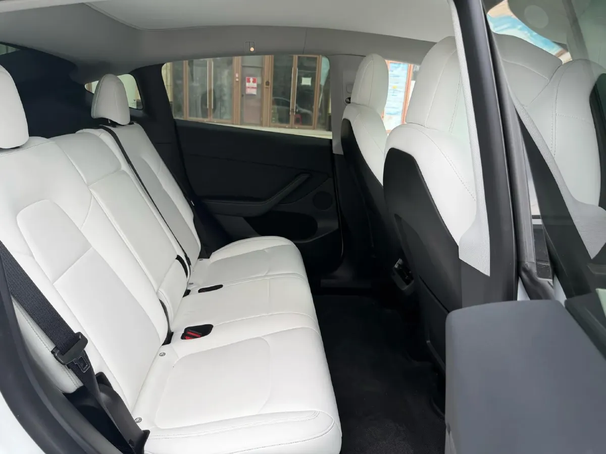 2021 Tesla Model 3 BEV 76.8KWH,autocango,china used car exporter,china ev exporter,chinese used car exporter,chinese used ev exporter