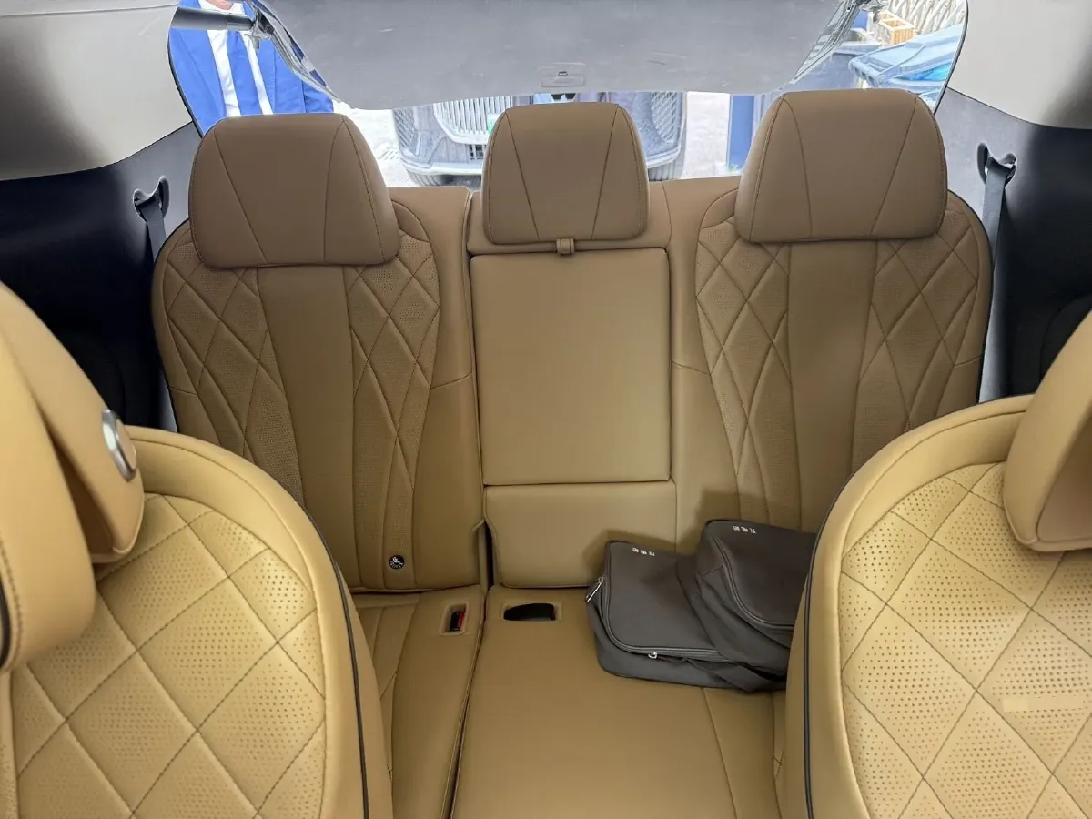 2024 Denza D9 1.5T 139HP L4 E-CVT PHEV 40KWH,autocango,china used car exporter,china ev exporter,chinese used car exporter,chinese used ev exporter