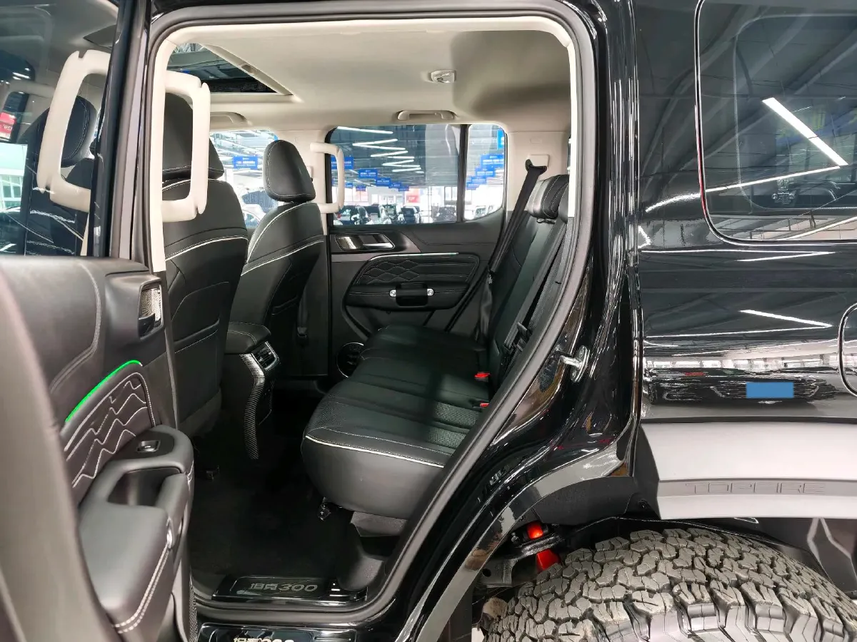 2023 Tank 300 2.0T 227HP L4 8AT,autocango,china used car exporter,china ev exporter,chinese used car exporter,chinese used ev exporter