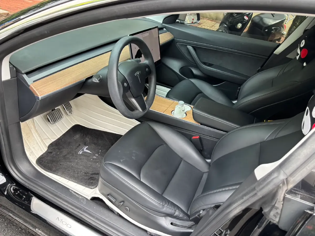 2020 Tesla Model 3 BEV 55KWH,autocango,china used car exporter,china ev exporter,chinese used car exporter,chinese used ev exporter