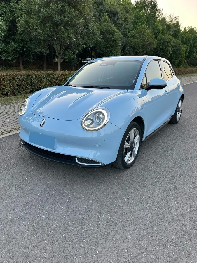 2021 Ora FunkyCat BEV 45.99KWH,autocango,china used car exporter,china ev exporter,chinese used car exporter,chinese used ev exporter