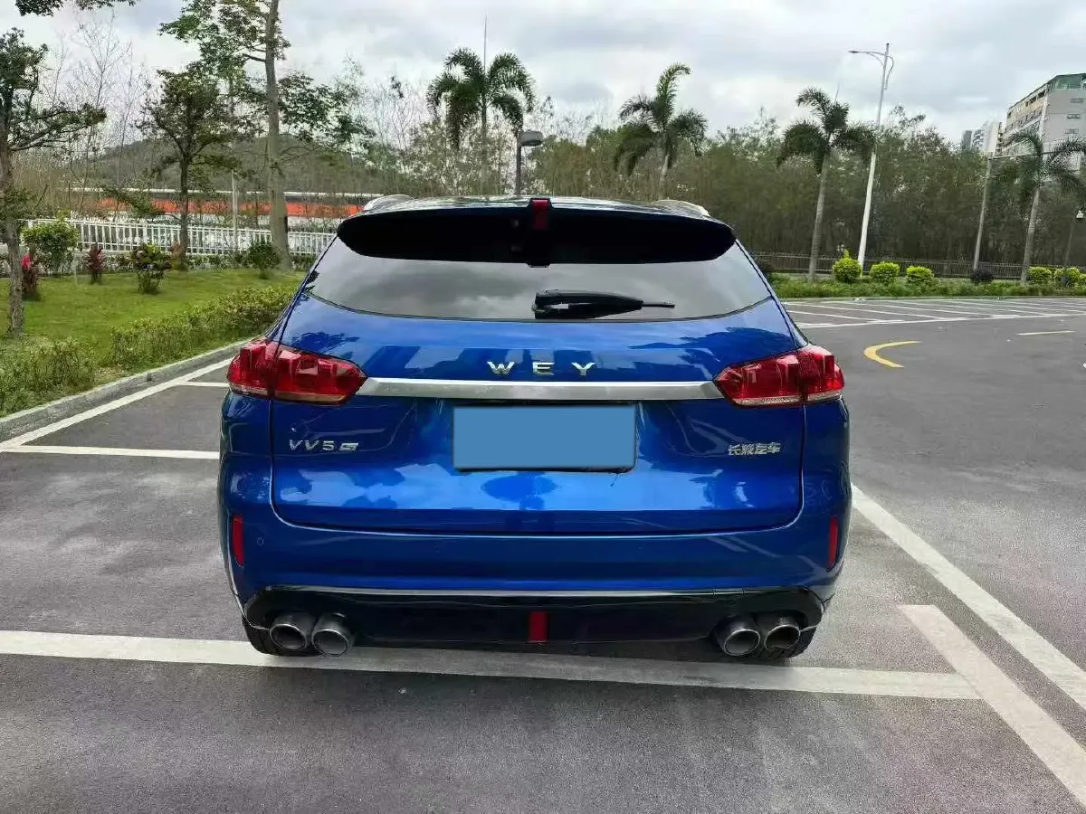 2017 WEY VV7 2.0T 234HP L4 7DCT,autocango,china used car exporter,china ev exporter,chinese used car exporter,chinese used ev exporter