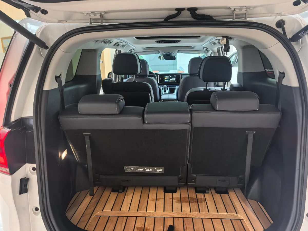 2021 GAC Trumpchi M8 2.0T 252HP L4 8AT,autocango,china used car exporter,china ev exporter,chinese used car exporter,chinese used ev exporter